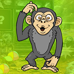G4K Muddled Monkey Escape Game